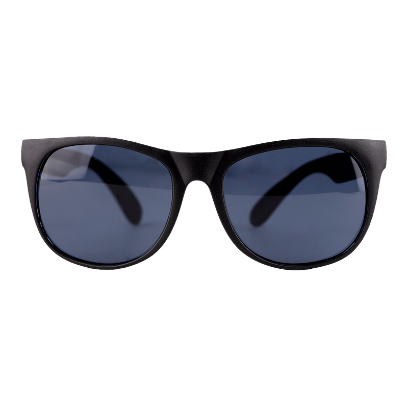 Lentes Tren Maya Negros De Sol Polarizados
